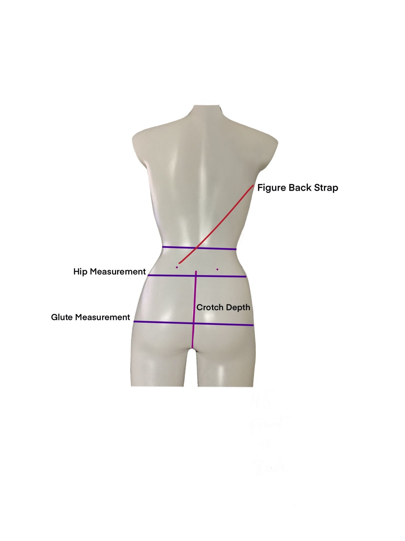 Back measurements for hip glute and strap